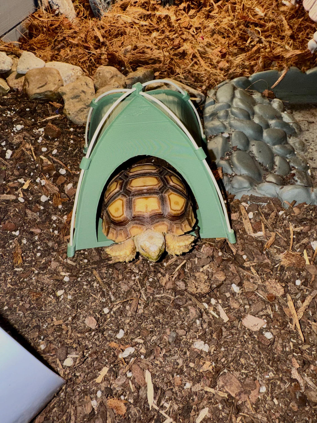 Reptile Tent Hide - Hermit Crab, Spider House