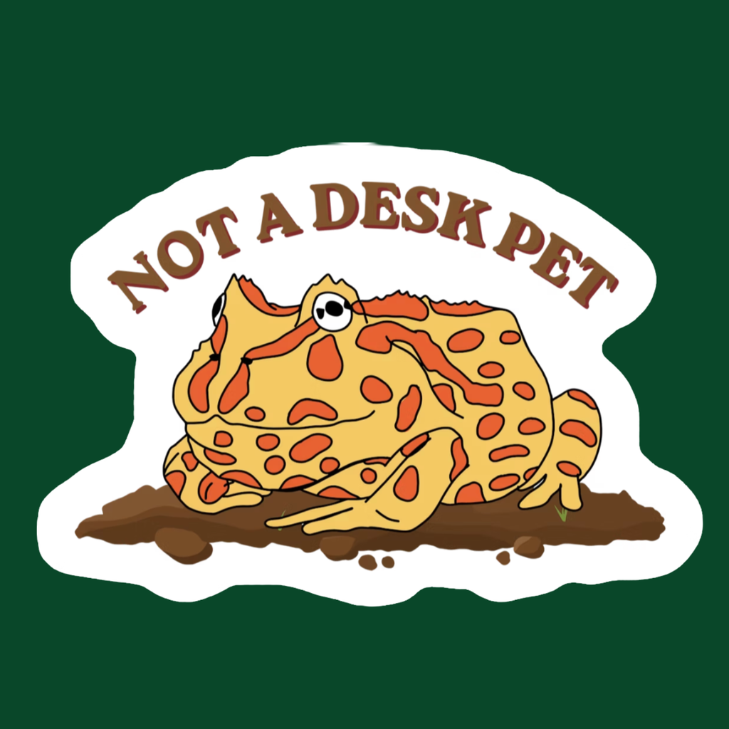 Not A Desk Pet (Pacman Frog)