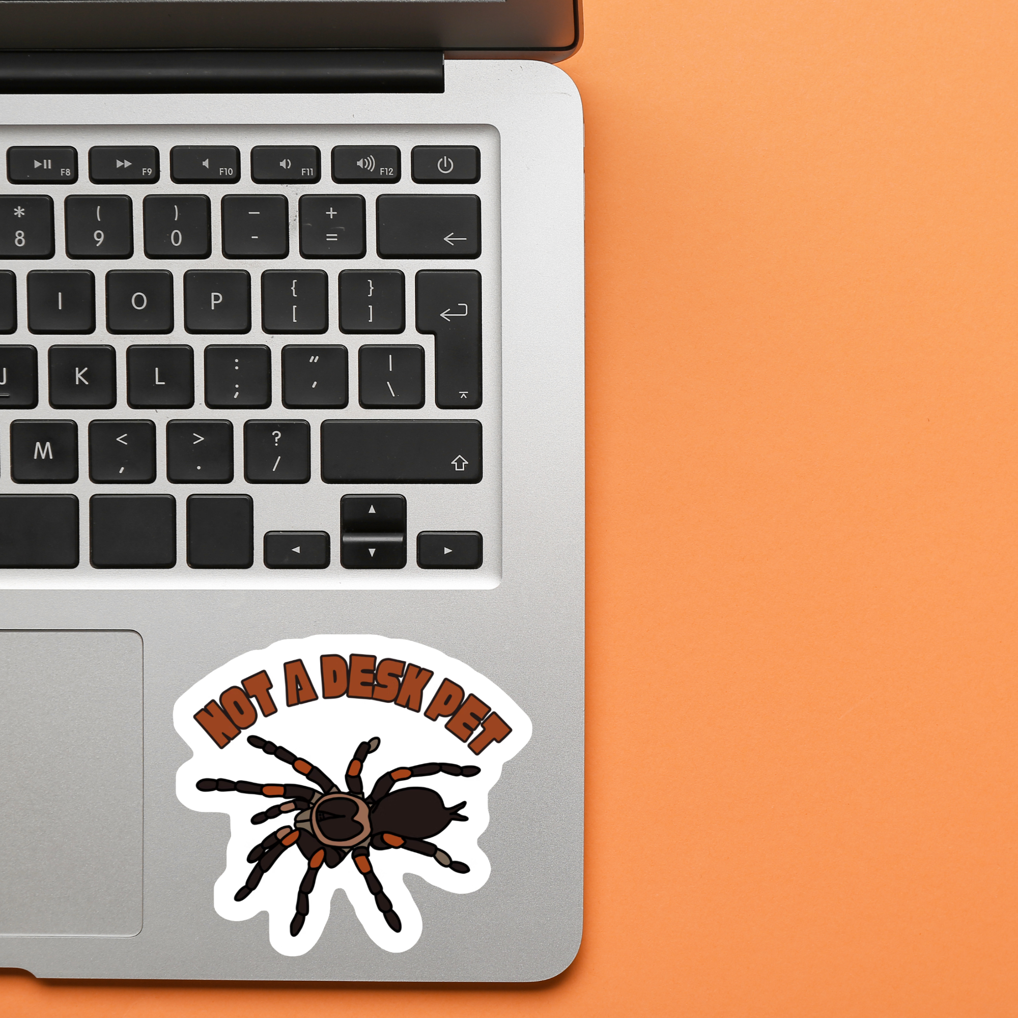 Not A Desk Pet (Tarantula)