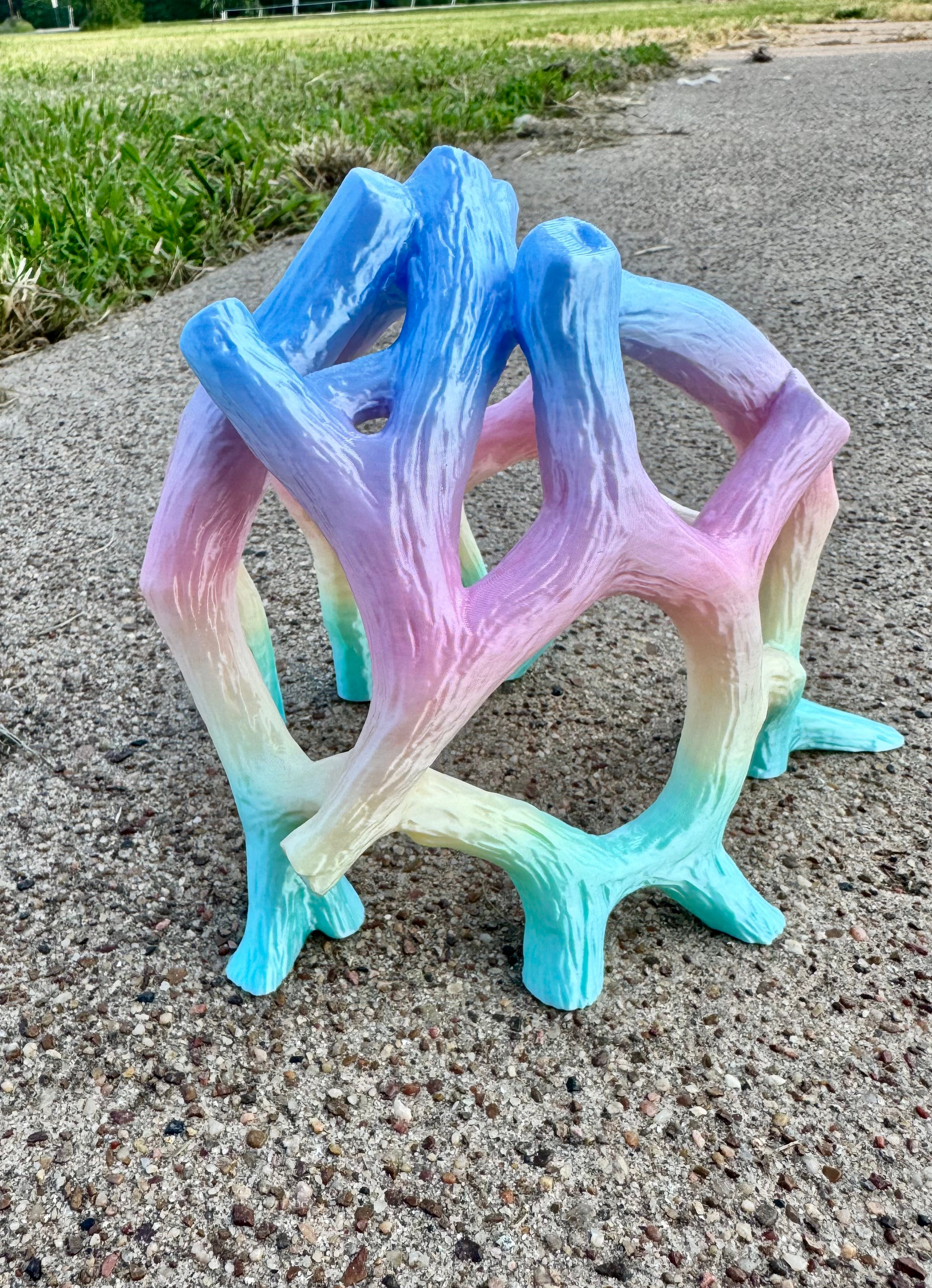 Rainbow Mangrove Gym