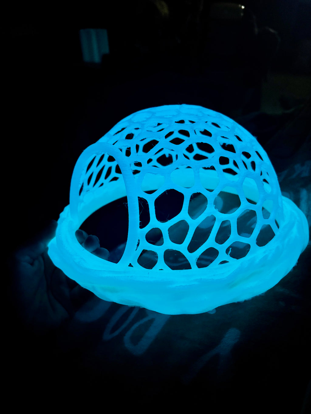 Floating Turtle Hammock