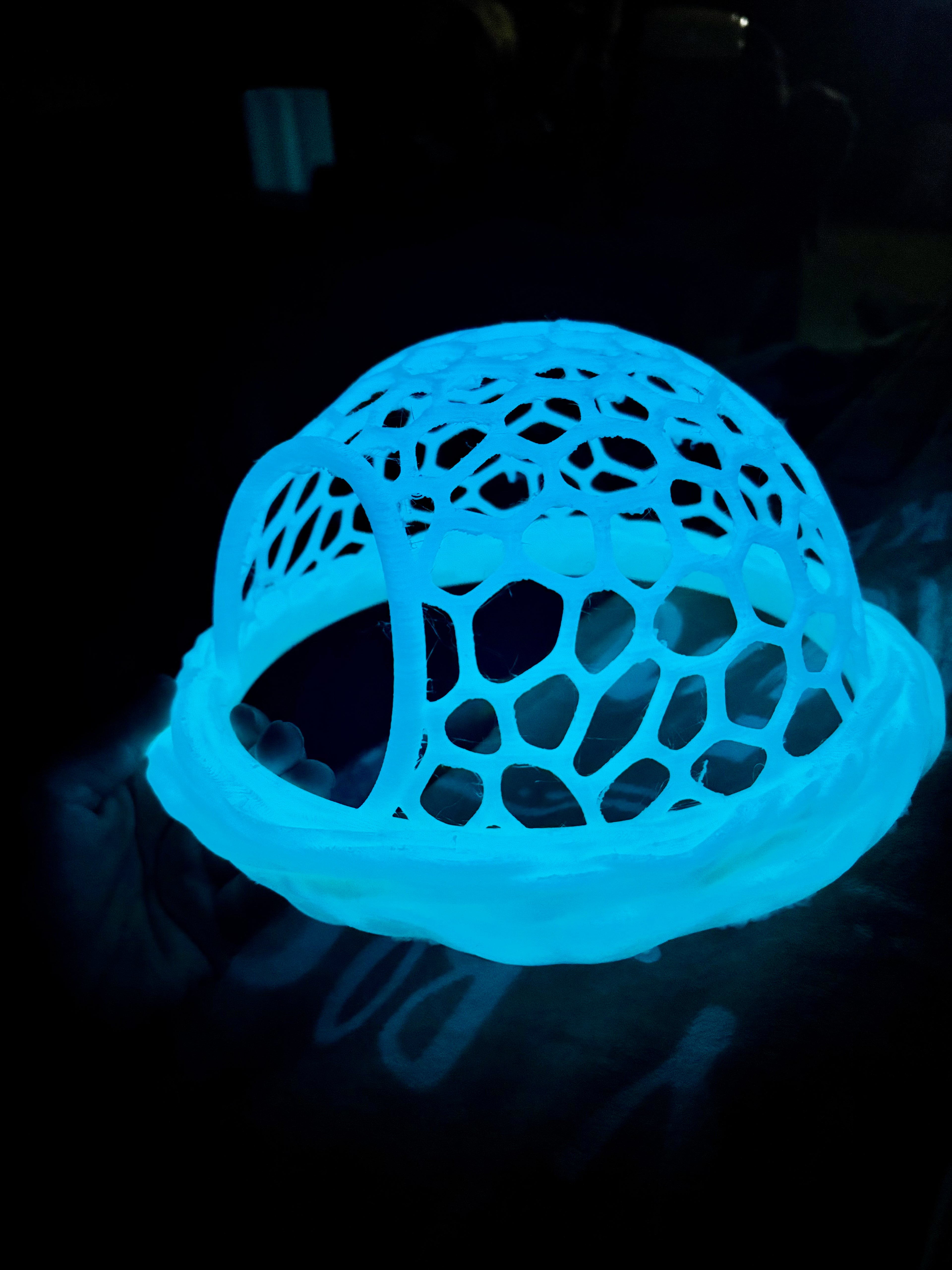 Floating Turtle Hammock