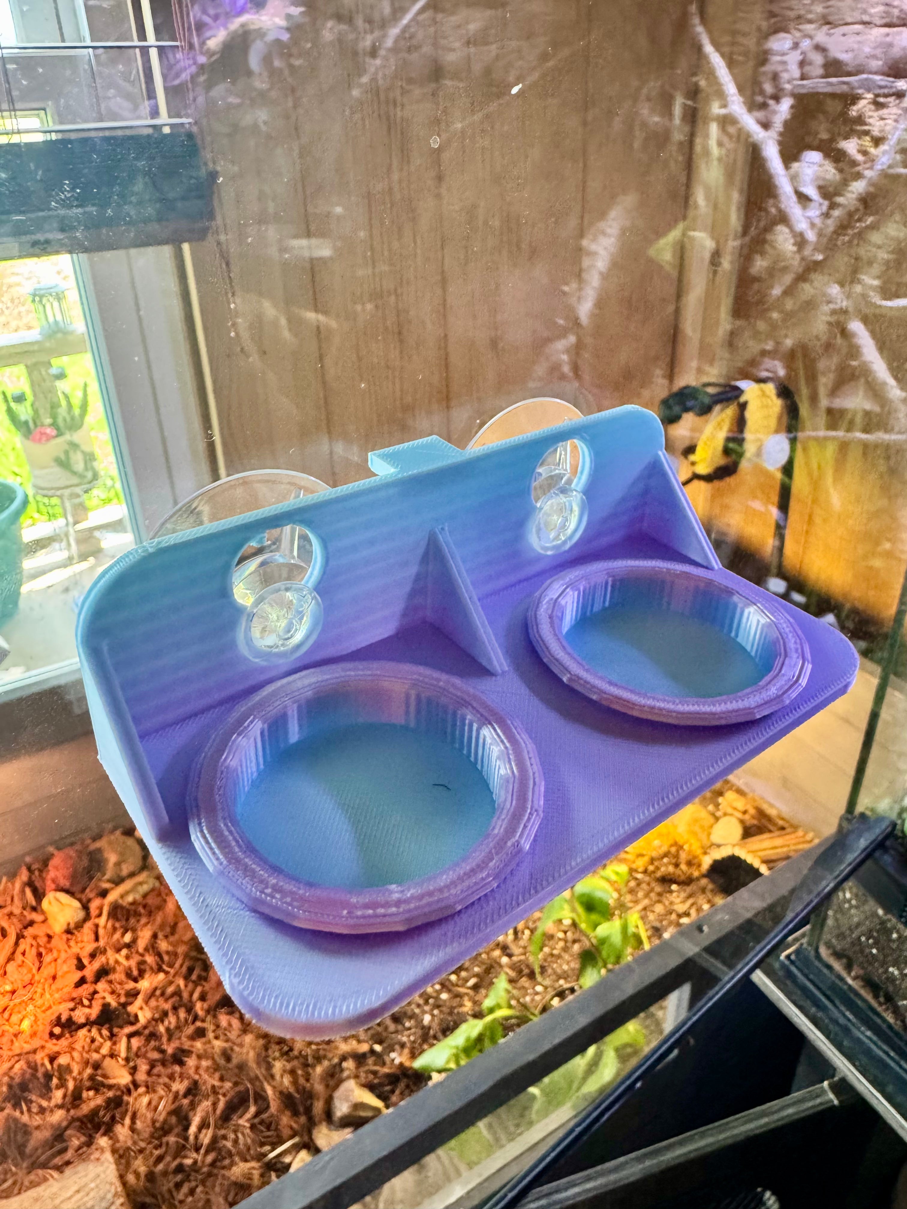 Rainbow Ledge Feeder