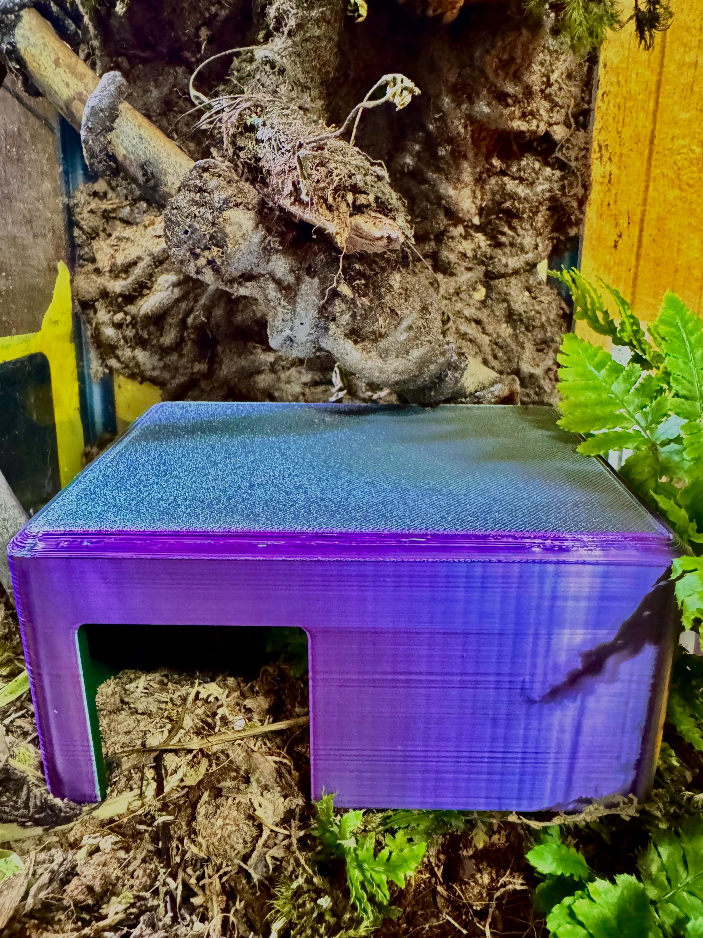 Rectangle Reptile Hide – Cozy Snake House, Humidifier Friendly